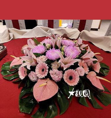 精緻盆花 祝賀盆花 喜慶桌上花 會場佈置盆花
