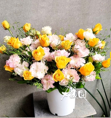 精緻盆花 祝賀盆花 喜慶桌上花 會場佈置盆花
