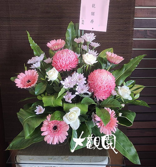 精緻盆花 祝賀盆花 喜慶桌上花 會場佈置盆花